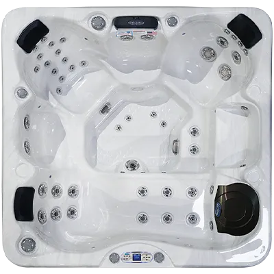 Avalon EC-849L hot tubs for sale in Portland