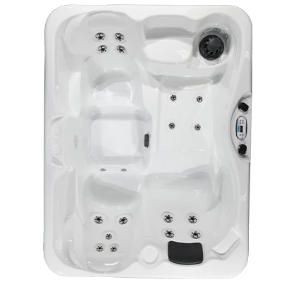 Kona PZ-519L hot tubs for sale in Portland